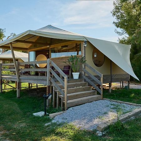 Suite Glamping Vicino Al Mare ピオンビーノ エクステリア 写真